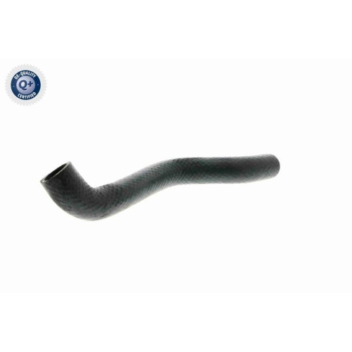 VAICO K&uuml;hlerschlauch Q+, Erstausr&uuml;sterqualit&auml;t V20-1238