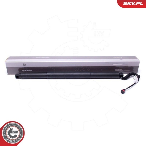 ESEN SKV Elektromotor, Heckklappe 52SKV904