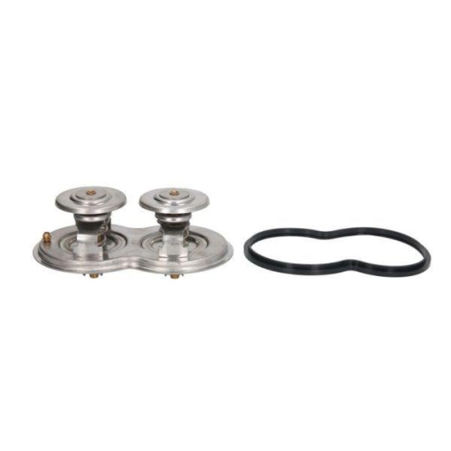 THERMOTEC Thermostat, K&uuml;hlmittel D2SC013TT
