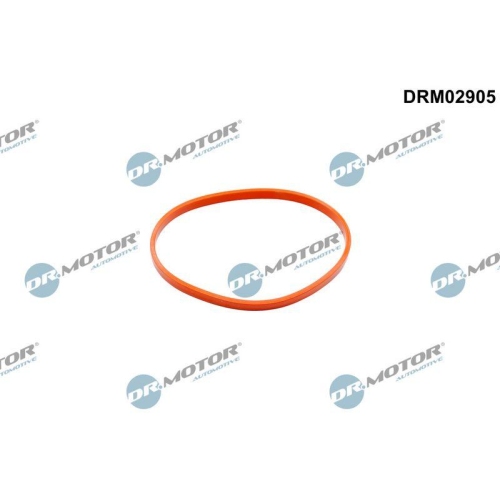 Dr.Motor Automotive Dichtung, Drosselklappenstutzen DRM02905