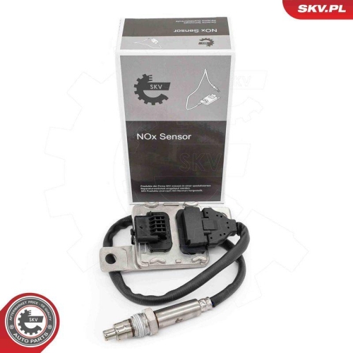 ESEN SKV NOx-Sensor, NOx-Katalysator