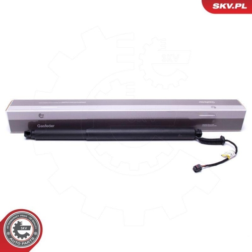 ESEN SKV Elektromotor, Heckklappe 52SKV913