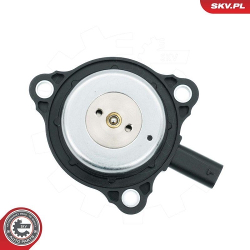 ESEN SKV Zentralmagnet, Nockenwellenverstellung 39SKV905