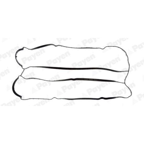 PAYEN Dichtung, Zylinderkopfhaube JM5155