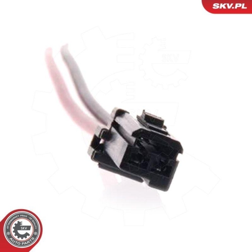 ESEN SKV Kraftstoffpumpe 02SKV204