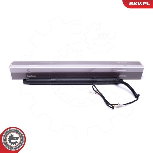 ESEN SKV Elektromotor, Heckklappe 52SKV926