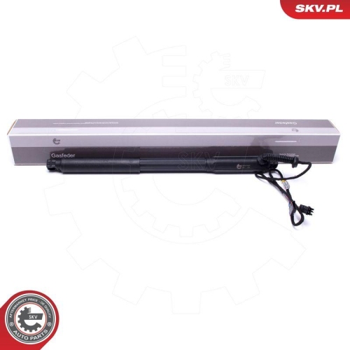ESEN SKV Elektromotor, Heckklappe 52SKV927