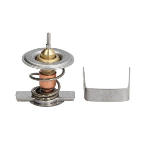 THERMOTEC Thermostat, K&uuml;hlmittel D2X009TT