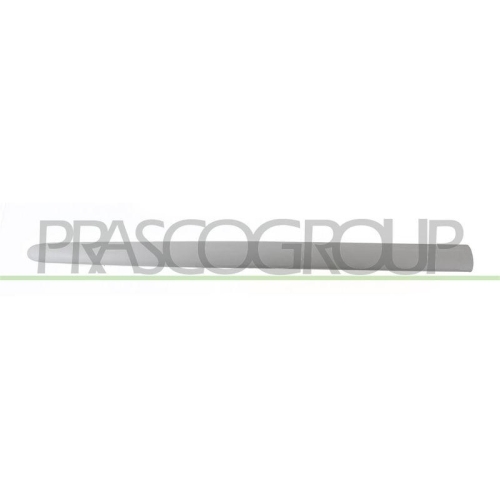 PRASCO Zier-/Schutzleiste, T&uuml;r PG0111423