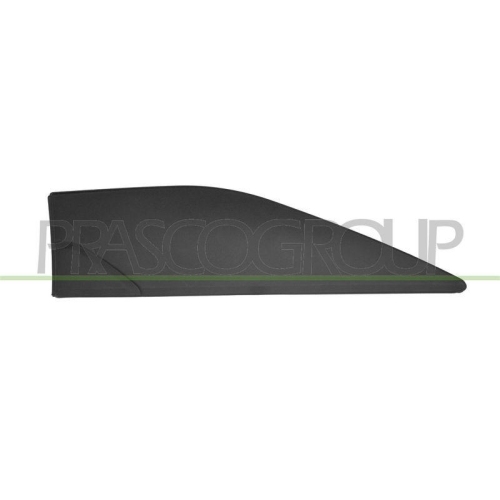PRASCO Zier-/Schutzleiste, Kotfl&uuml;gel FT9501402