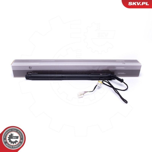 ESEN SKV Elektromotor, Heckklappe 52SKV928