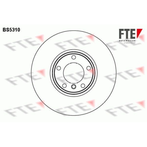 FTE Bremsscheibe 9071254