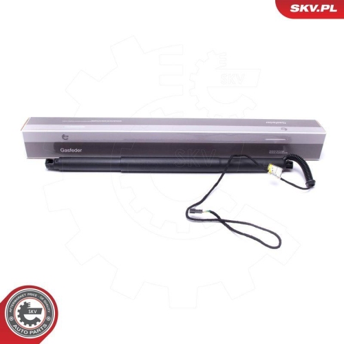 ESEN SKV Elektromotor, Heckklappe 52SKV931