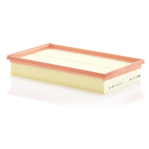 MANN-FILTER Luftfilter C 31 120