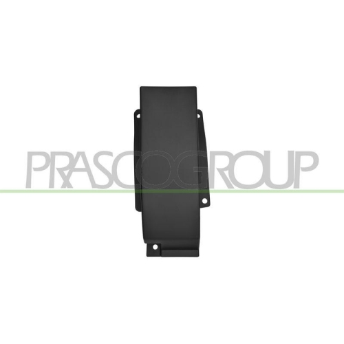 PRASCO Einstiegsleiste FT9501405