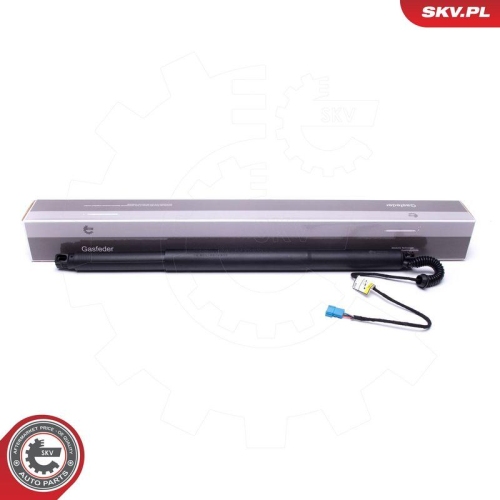 ESEN SKV Elektromotor, Heckklappe 52SKV932