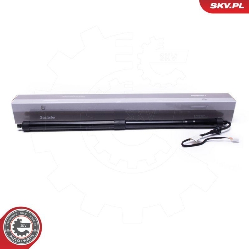 ESEN SKV Elektromotor, Heckklappe 52SKV961