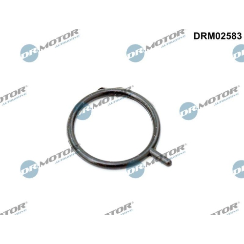 Dr.Motor Automotive Dichtring, Motor&ouml;lstandsensor DRM02583