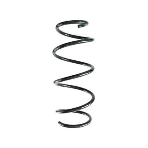 SPIDAN Fahrwerksfeder GKNW10287
