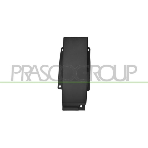 PRASCO Einstiegsleiste FT9501406
