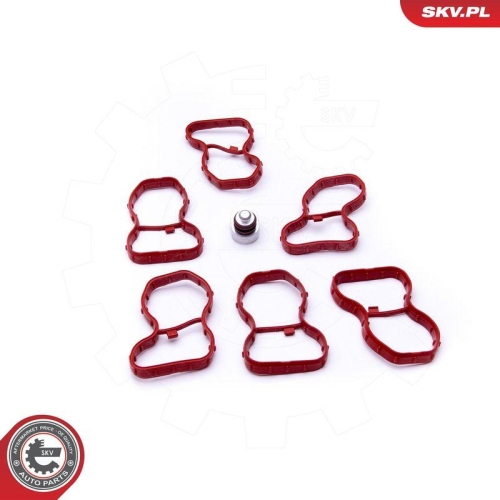 ESEN SKV Reparatursatz, Saugrohrmodul 49SKV522