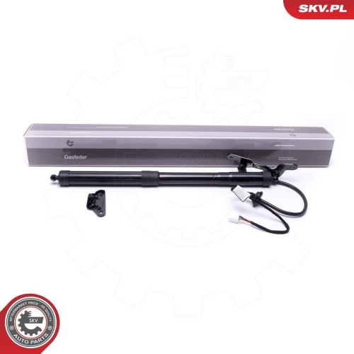 ESEN SKV Elektromotor, Heckklappe 52SKV938