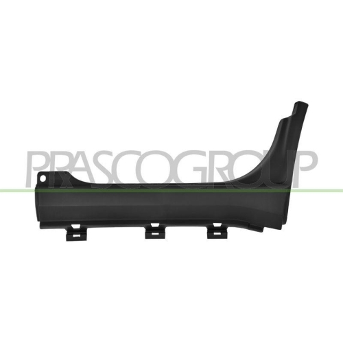 PRASCO Einstiegsleiste FT9501445