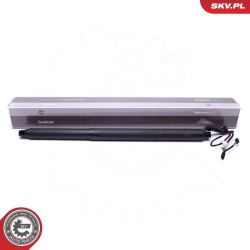 ESEN SKV Elektromotor, Heckklappe 52SKV941