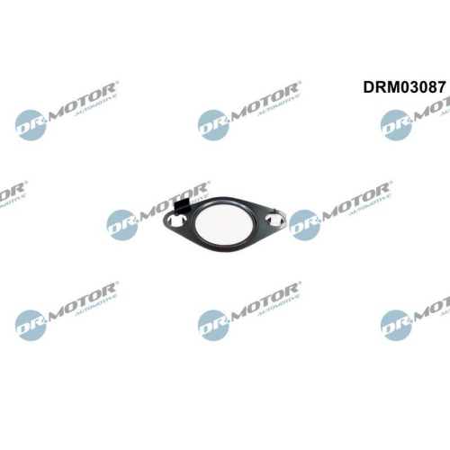 Dr.Motor Automotive Dichtung, AGR-Ventil DRM03087
