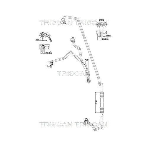 TRISCAN Hochdruck-/Niederdruckleitung, Klimaanlage 9010 11039