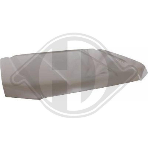 DIEDERICHS Motorhaube 1591000