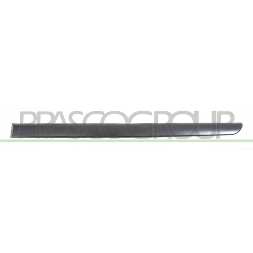 PRASCO Zier-/Schutzleiste, T&uuml;r PG0611454