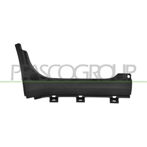 PRASCO Einstiegsleiste FT9501446