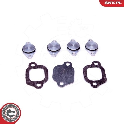 ESEN SKV Reparatursatz, Saugrohrmodul 49SKV529