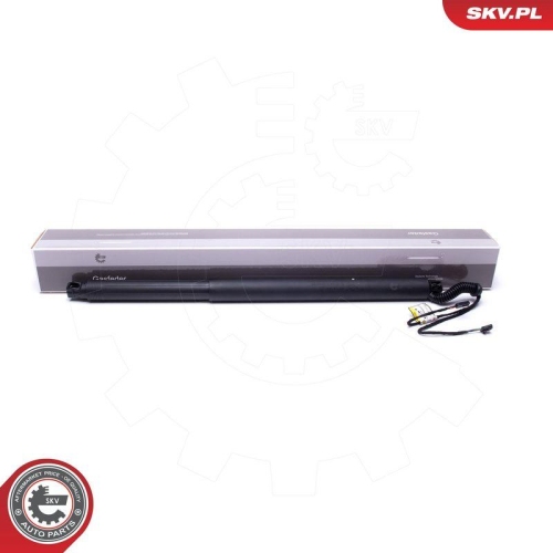 ESEN SKV Elektromotor, Heckklappe 52SKV942