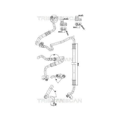 TRISCAN Hochdruck-/Niederdruckleitung, Klimaanlage 9010 11021