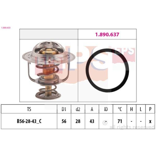 EPS Thermostat, K&uuml;hlmittel Made in Italy - OE Equivalent