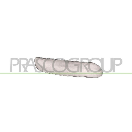 PRASCO Zier-/Schutzleiste, Sto&szlig;f&auml;nger PremiumCertified MN3041243