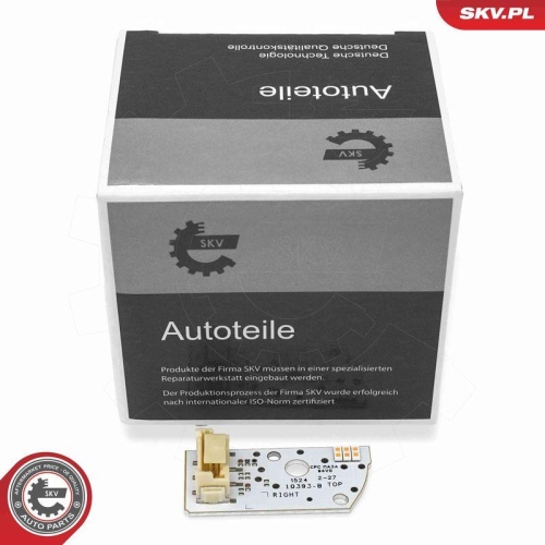 ESEN SKV Steuerger&auml;t, Beleuchtung