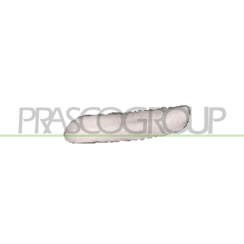 PRASCO Zier-/Schutzleiste, Sto&szlig;f&auml;nger PremiumCertified MN3041244