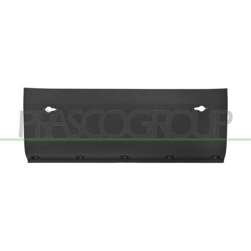 PRASCO Zier-/Schutzleiste, Kotfl&uuml;gel FT9501485