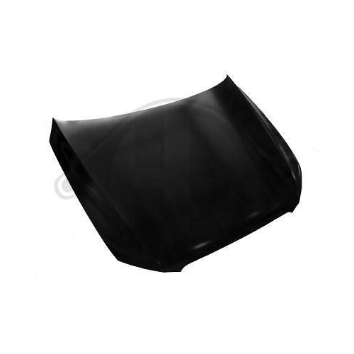 DIEDERICHS Motorhaube 1075001