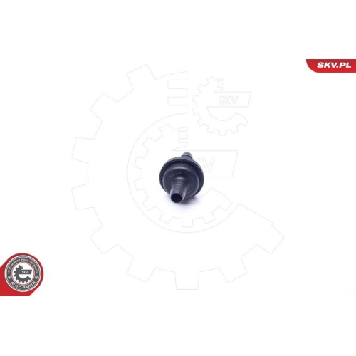 ESEN SKV Ventil, Kurbelgehäuseentlüftung