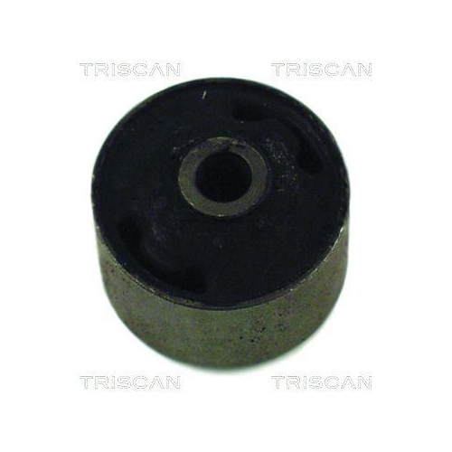 TRISCAN Lagerung, Achskörper 8500 29801