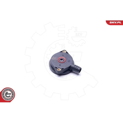 ESEN SKV Ventil, Kurbelgehäuseentlüftung