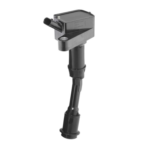 BorgWarner (BERU) Z&uuml;ndspule ZS620