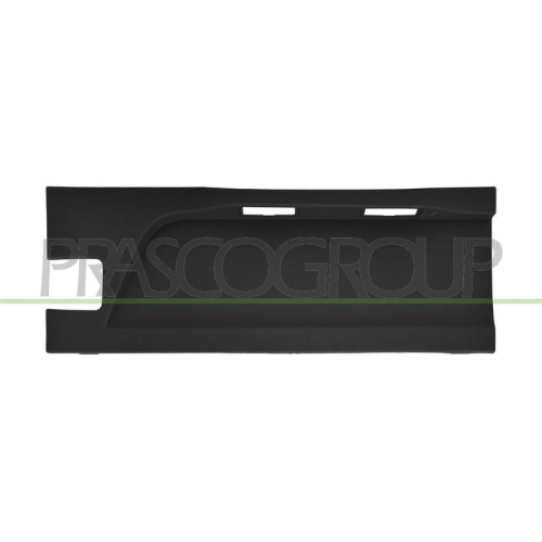 PRASCO Zier-/Schutzleiste, T&uuml;r FT9501494