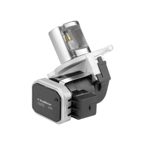 BorgWarner AGR-Ventil 7527D