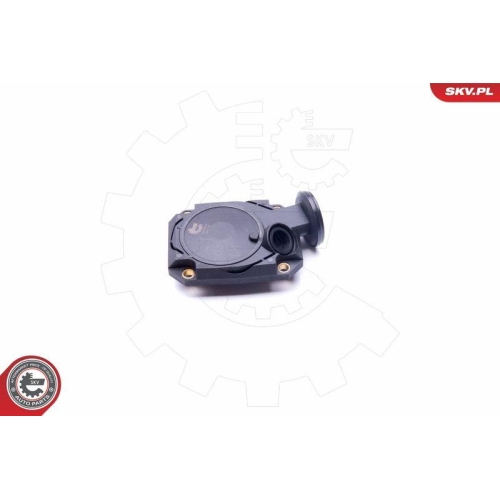 ESEN SKV Ventil, Kurbelgehäuseentlüftung