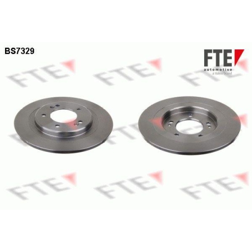 FTE Bremsscheibe 9072653